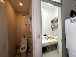 The Suites At Central (D9), Condominium #470337371